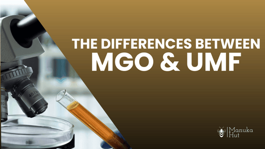 The Differences Between MGO and UMF