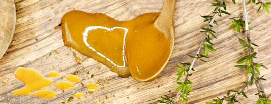 ¿Es la miel de Manuka mejor que la miel normal? Una guía completa