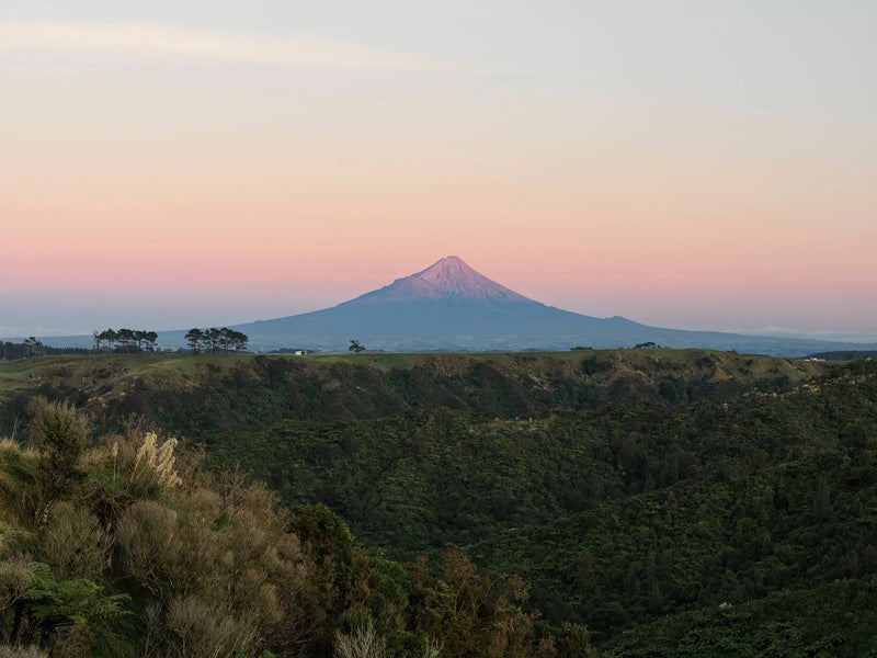Egmont Honey hives with Mount Taranaki backdrop
